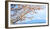 Fujisan View from Kawaguchiko Lake, Japan-Bogomyako-Framed Photographic Print