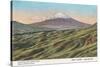 Fujiyama from Jikkoku Pass-null-Stretched Canvas