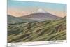 Fujiyama from Jikkoku Pass-null-Mounted Art Print