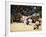 Fukuoka Sumo Competition, Entering the Ring Ceremony, Kyushu Basho, Fukuoka City, Kyushu, Japan-Christian Kober-Framed Photographic Print