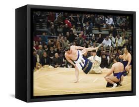 Fukuoka Sumo Competition, Entering the Ring Ceremony, Kyushu Basho, Fukuoka City, Kyushu, Japan-Christian Kober-Framed Stretched Canvas