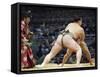 Fukuoka Sumo Competition, Kyushu Basho, Fukuoka City, Kyushu, Japan, Asia-Christian Kober-Framed Stretched Canvas