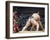 Fukuoka Sumo Competition, Kyushu Basho, Fukuoka City, Kyushu, Japan, Asia-Christian Kober-Framed Photographic Print