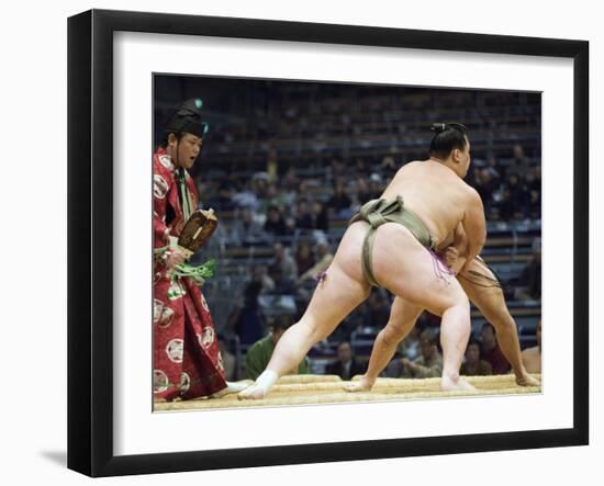 Fukuoka Sumo Competition, Kyushu Basho, Fukuoka City, Kyushu, Japan, Asia-Christian Kober-Framed Photographic Print