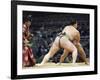 Fukuoka Sumo Competition, Kyushu Basho, Fukuoka City, Kyushu, Japan, Asia-Christian Kober-Framed Photographic Print