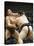 Fukuoka Sumo Competition, Kyushu Basho, Fukuoka City, Kyushu, Japan, Asia-Christian Kober-Stretched Canvas