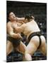 Fukuoka Sumo Competition, Kyushu Basho, Fukuoka City, Kyushu, Japan, Asia-Christian Kober-Mounted Photographic Print