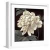 Full Bloom I-Keith Mallett-Framed Giclee Print