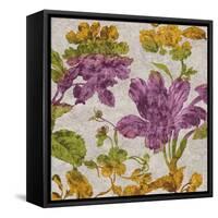 Full Bloom I-Pamela Davis-Framed Stretched Canvas