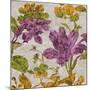Full Bloom I-Pamela Davis-Mounted Premium Giclee Print