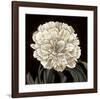 Full Bloom II-Keith Mallett-Framed Giclee Print