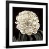 Full Bloom II-Keith Mallett-Framed Giclee Print