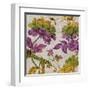 Full Bloom II-Pamela Davis-Framed Art Print