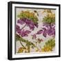 Full Bloom II-Pamela Davis-Framed Art Print