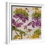 Full Bloom II-Pamela Davis-Framed Art Print