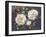 Full Blossom I-Bowmy-Framed Art Print