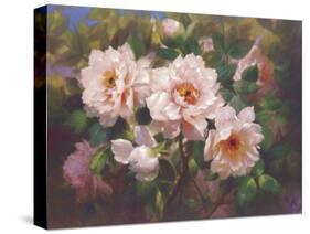 Full Blossom II-Bowmy-Stretched Canvas