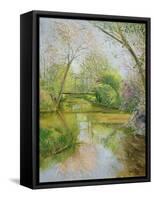 Full Blossom-Timothy Easton-Framed Stretched Canvas