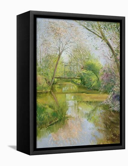 Full Blossom-Timothy Easton-Framed Stretched Canvas