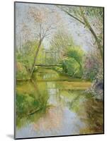 Full Blossom-Timothy Easton-Mounted Giclee Print