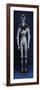 Full Body Armor Made for Giuliano De 'Medici-null-Framed Giclee Print