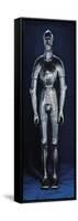 Full Body Armor Made for Giuliano De 'Medici-null-Framed Stretched Canvas