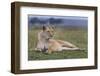 Full Body Portrait of a Lioness Lying on the Grass in the Masai Mara, Kenya-Karine Aigner-Framed Photographic Print