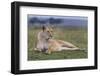 Full Body Portrait of a Lioness Lying on the Grass in the Masai Mara, Kenya-Karine Aigner-Framed Photographic Print