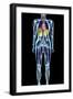 Full Body Scan, MRI Scan-Volker Steger-Framed Premium Photographic Print