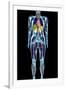 Full Body Scan, MRI Scan-Volker Steger-Framed Photographic Print