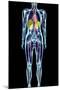 Full Body Scan, MRI Scan-Volker Steger-Mounted Photographic Print