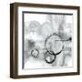 Full Circle II Gray-Chris Paschke-Framed Art Print