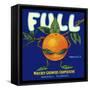 Full Florida Citrus-null-Framed Stretched Canvas