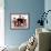 Full House-null-Framed Photo displayed on a wall