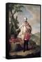 Full Length Portrait of Joseph II-Anton von Maron-Framed Stretched Canvas