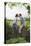 Full Length Side View of a Couple Kissing on Countryside Wall against Landscape-Nosnibor137-Stretched Canvas