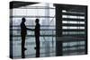 Full Length Side View of Businessmen Shaking Hands in Airport Terminal-Nosnibor137-Stretched Canvas