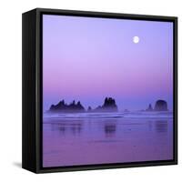 Full moon above seastacks, Olympic National Park, Washington, USA-Charles Gurche-Framed Stretched Canvas