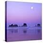 Full moon above seastacks, Olympic National Park, Washington, USA-Charles Gurche-Stretched Canvas