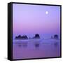 Full moon above seastacks, Olympic National Park, Washington, USA-Charles Gurche-Framed Stretched Canvas