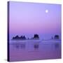 Full moon above seastacks, Olympic National Park, Washington, USA-Charles Gurche-Stretched Canvas