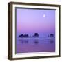 Full moon above seastacks, Olympic National Park, Washington, USA-Charles Gurche-Framed Photographic Print