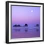 Full moon above seastacks, Olympic National Park, Washington, USA-Charles Gurche-Framed Photographic Print