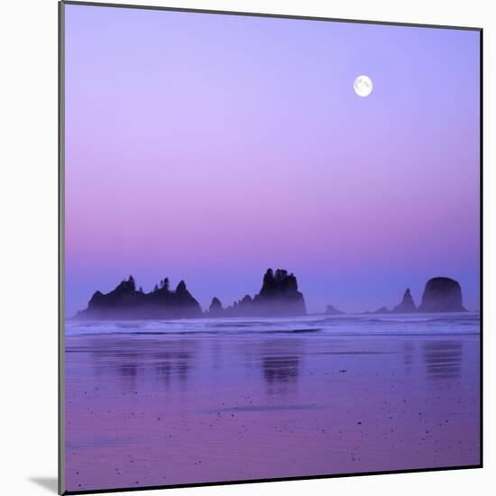 Full moon above seastacks, Olympic National Park, Washington, USA-Charles Gurche-Mounted Photographic Print