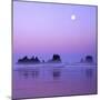 Full moon above seastacks, Olympic National Park, Washington, USA-Charles Gurche-Mounted Photographic Print