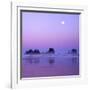 Full moon above seastacks, Olympic National Park, Washington, USA-Charles Gurche-Framed Photographic Print