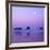 Full moon above seastacks, Olympic National Park, Washington, USA-Charles Gurche-Framed Photographic Print