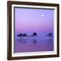 Full moon above seastacks, Olympic National Park, Washington, USA-Charles Gurche-Framed Photographic Print