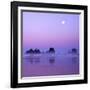 Full moon above seastacks, Olympic National Park, Washington, USA-Charles Gurche-Framed Photographic Print