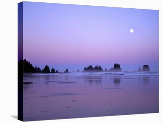 Full moon above seastacks, Olympic National Park, Washington, USA-Charles Gurche-Stretched Canvas